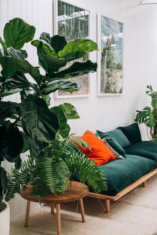 Little Adjustments For Better Sustainability | Kismet Decals