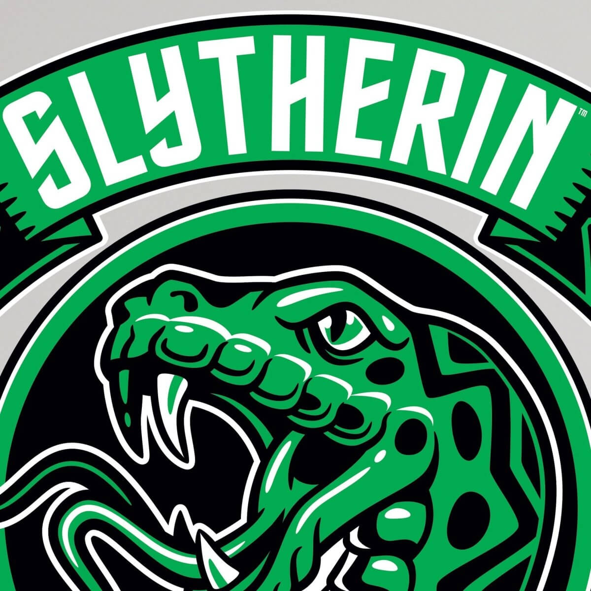 Kismet Decals Harry Potter Slytherin Crest Licensed Wall Sticker - Easy DIY Home & Kids Room Decor Wall Decal Art - Kismet Decals