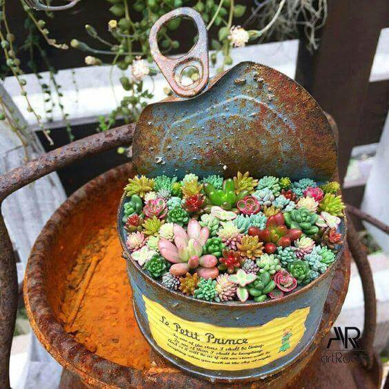 Everything You Need To Know About The Terrarium Trend! | Kismet Decals