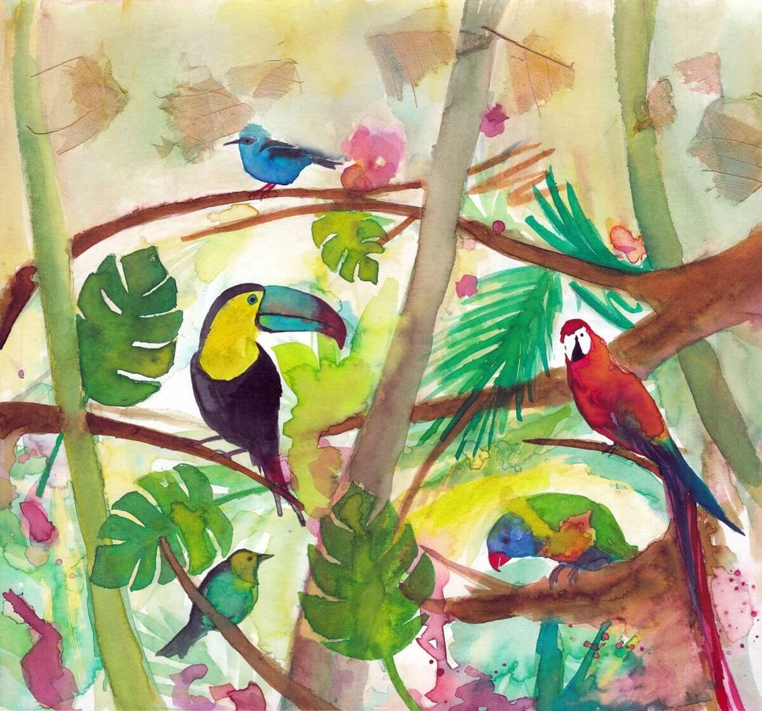 "It's Kismet!" Announcing: Collaboration with Casals Juanola | Kismet Decals