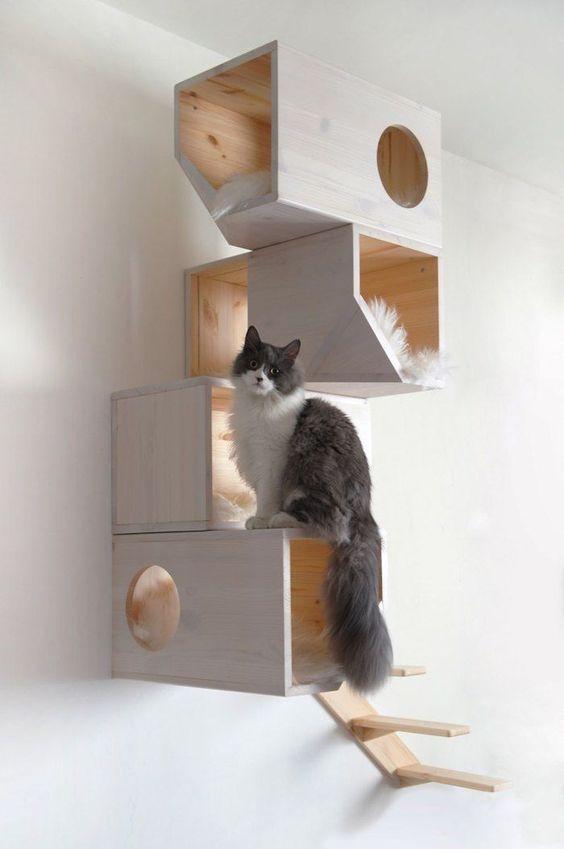 Make Your Home Stylishly Cat Friendly! | Kismet Decals
