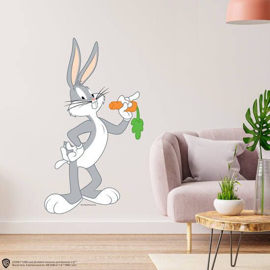 Looney Tunes Wall Decals