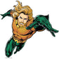 Kismet Decals Aquaman Underworld King Licensed Wall Sticker - Easy DIY Justice League Home & Room Decor Wall Art - Kismet Decals