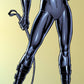 Kismet Decals Catwoman Vigilante Licensed Wall Sticker - Easy DIY Justice League Home & Room Decor Wall Art - Kismet Decals
