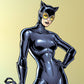 Kismet Decals Catwoman Vigilante Licensed Wall Sticker - Easy DIY Justice League Home & Room Decor Wall Art - Kismet Decals