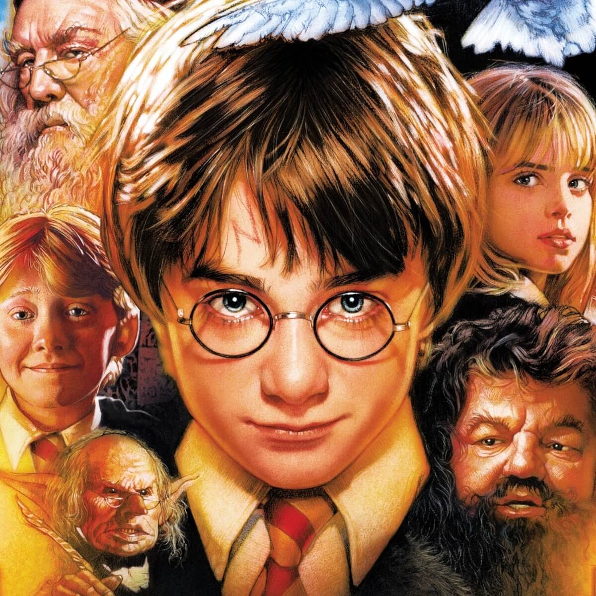Kismet Decals Harry Potter and the Sorcerer's Stone Licensed Wall Sticker - Easy DIY Home & Kids Room Decor Decal Art - Kismet Decals
