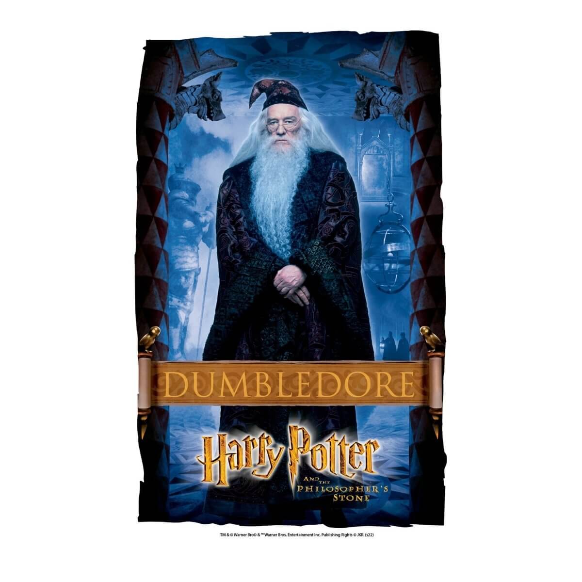 Kismet Decals Harry Potter Dumbledore Poster Licensed Wall Sticker - Easy DIY Home & Kids Room Decor Wall Decal Art - Kismet Decals