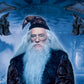 Kismet Decals Harry Potter Dumbledore Poster Licensed Wall Sticker - Easy DIY Home & Kids Room Decor Wall Decal Art - Kismet Decals