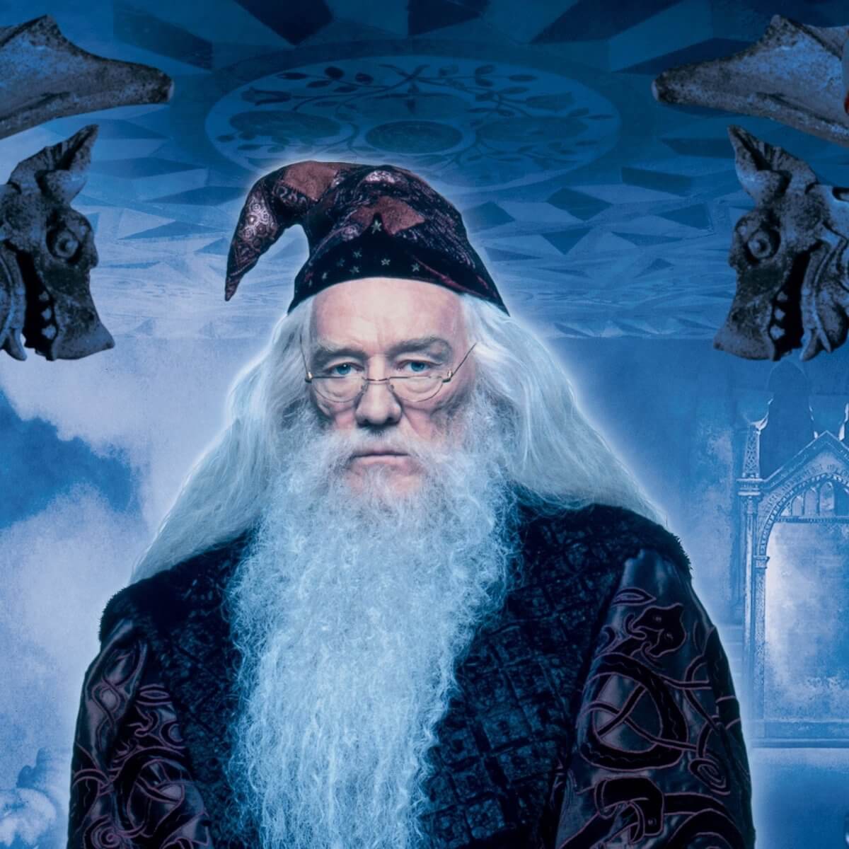 Kismet Decals Harry Potter Dumbledore Poster Licensed Wall Sticker - Easy DIY Home & Kids Room Decor Wall Decal Art - Kismet Decals