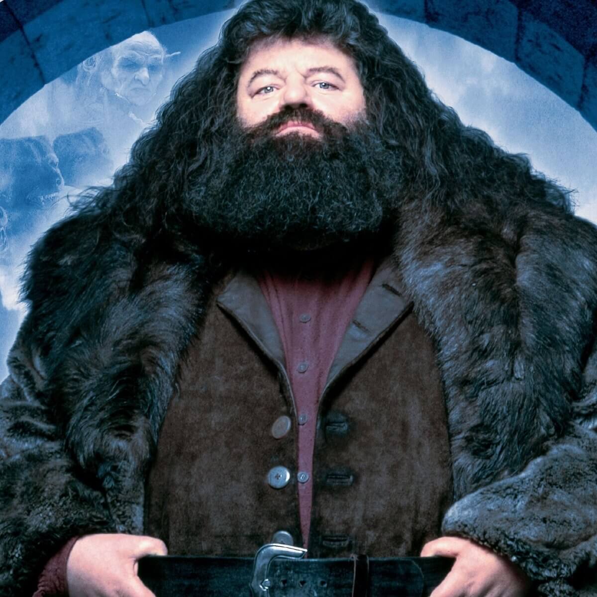Kismet Decals Harry Potter Hagrid Poster Licensed Wall Sticker - Easy DIY Home & Kids Room Decor Wall Decal Art - Kismet Decals