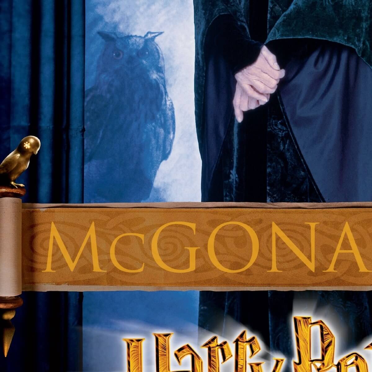 Kismet Decals Harry Potter McGonagall Poster Licensed Wall Sticker - Easy DIY Home & Kids Room Decor Wall Decal Art - Kismet Decals