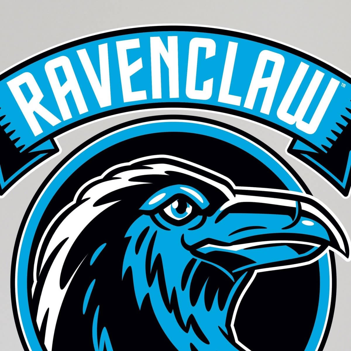 Kismet Decals Harry Potter Ravenclaw Crest Licensed Wall Sticker - Easy DIY Home & Kids Room Decor Wall Decal Art - Kismet Decals