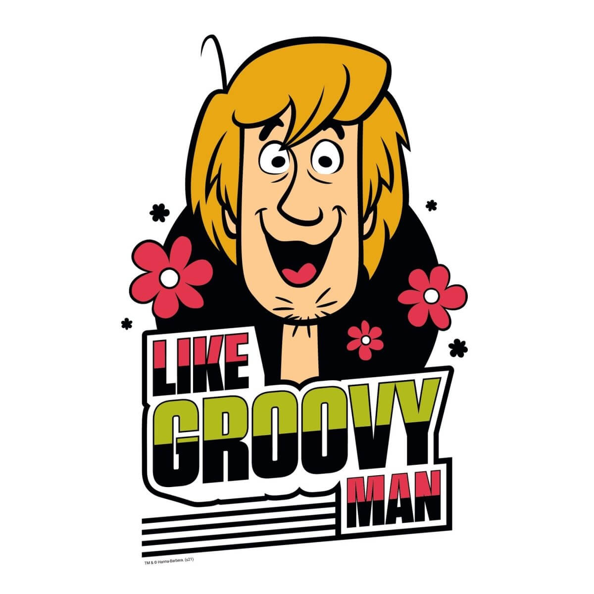 Kismet Decals Home & Room Decor Scooby-Doo Groovy Shaggy Wall decal sticker - officially licensed - latex printed with no solvent odor - Kismet Decals