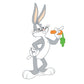 Kismet Decals Looney Tunes Bugs "What's Up Doc?" Licensed Wall Sticker - Easy DIY Home & Kids Room Decor Wall Decal Art - Kismet Decals