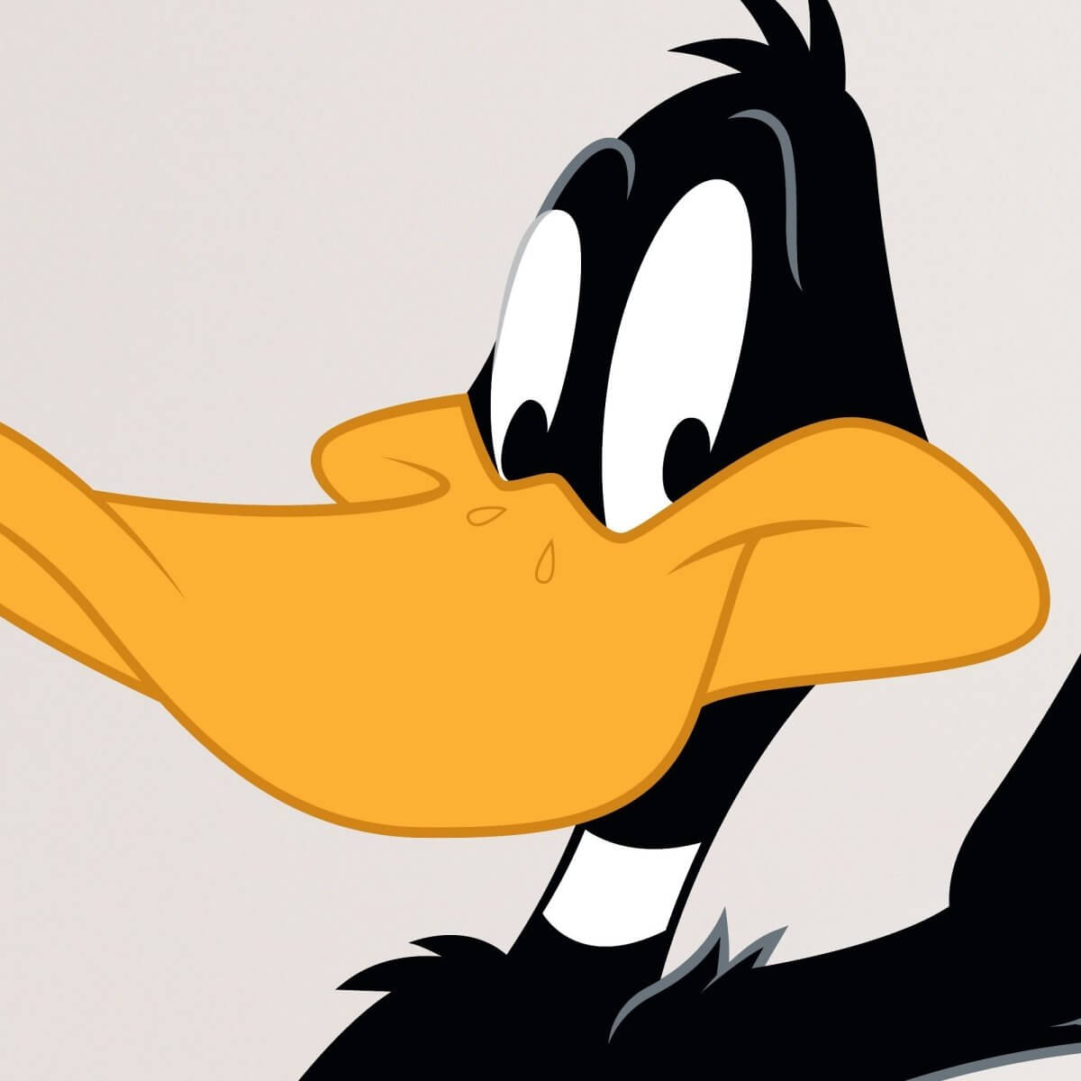 Kismet Decals Looney Tunes Daffy Duck Self-Intro Licensed Wall Sticker - Easy DIY Home & Kids Room Decor Wall Decal Art - Kismet Decals