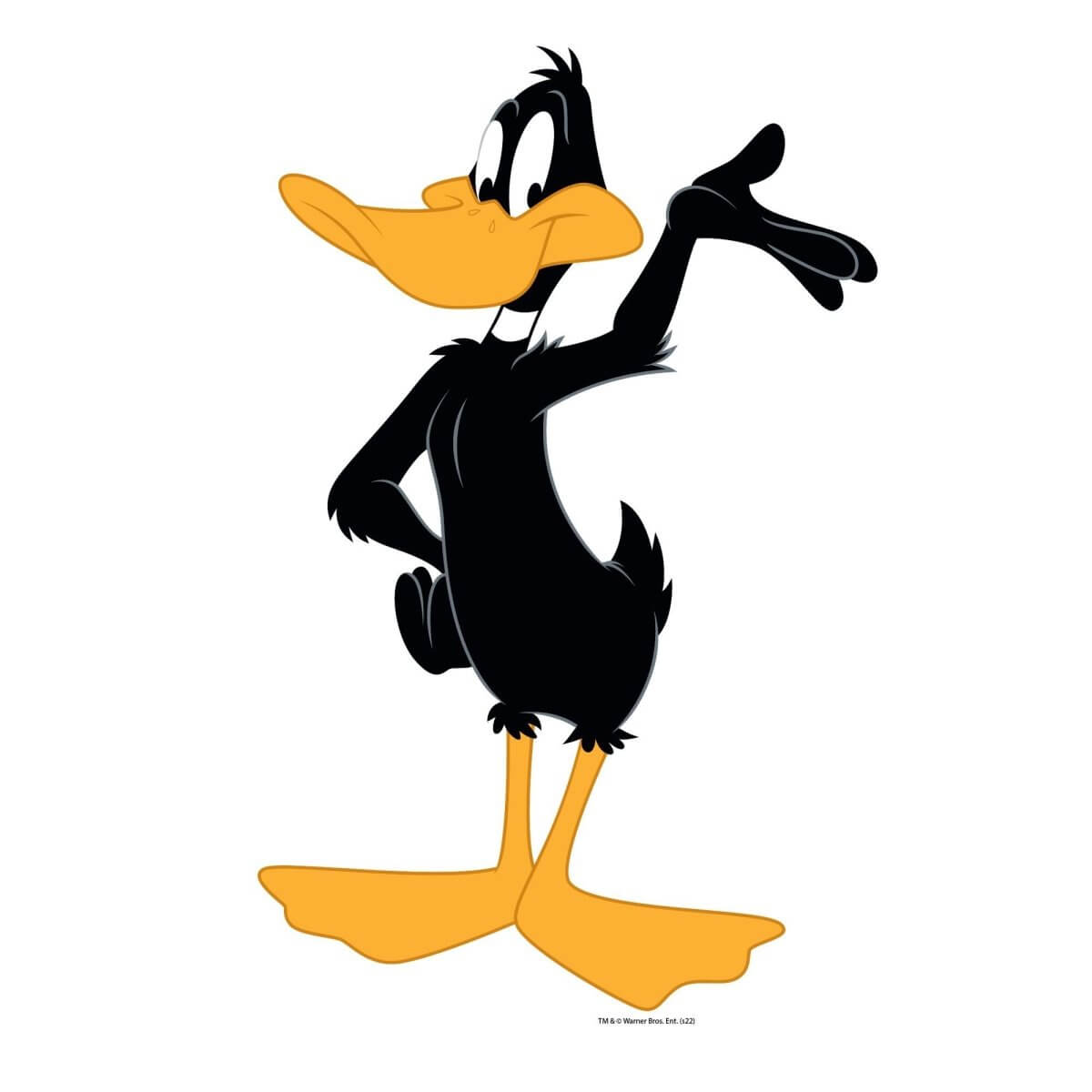 Kismet Decals Looney Tunes Daffy Duck Self-Intro Licensed Wall Sticker - Easy DIY Home & Kids Room Decor Wall Decal Art - Kismet Decals