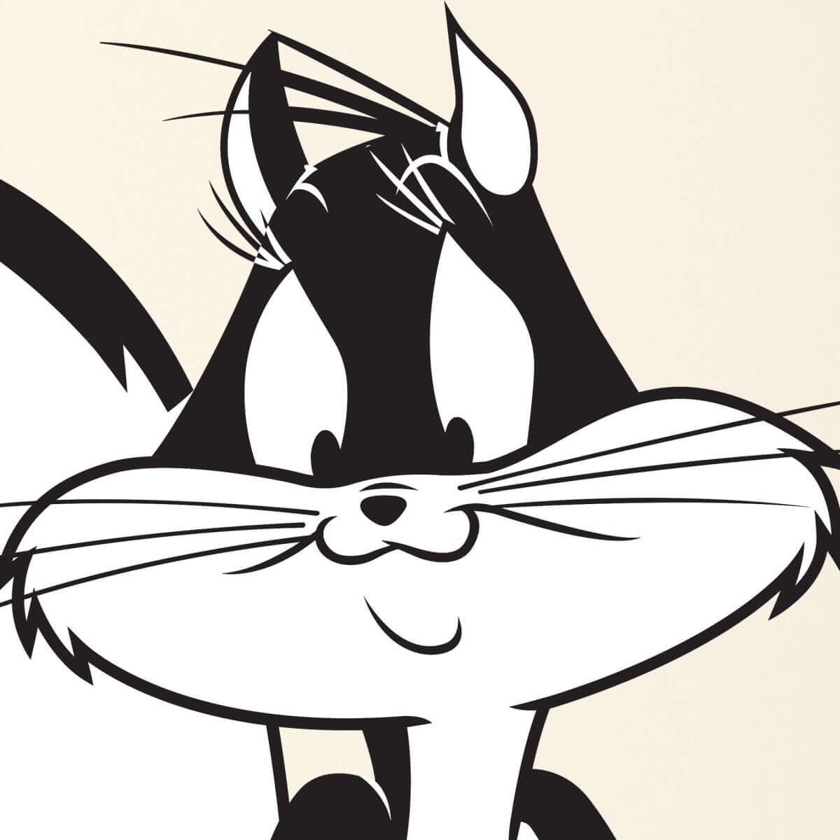 Kismet Decals Looney Tunes Penelope Pussycat Licensed Wall Sticker - Easy DIY Home & Kids Room Decor Wall Decal Art - Kismet Decals
