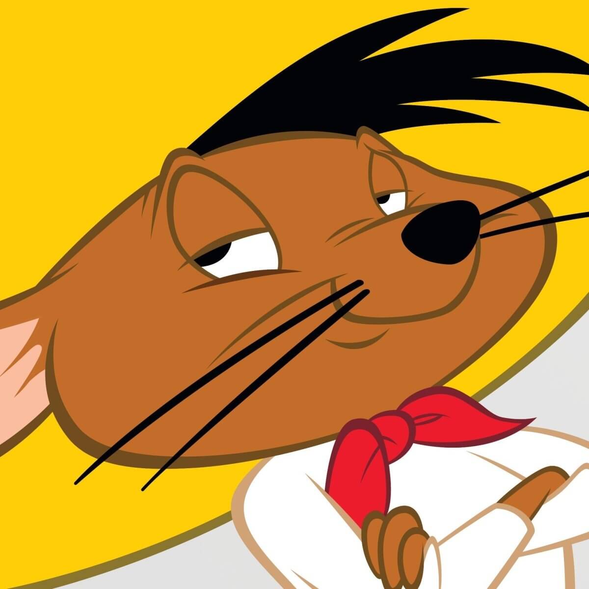 Kismet Decals Looney Tunes Speedy Gonzales Licensed Wall Sticker - Easy DIY Home & Kids Room Decor Wall Decal Art - Kismet Decals