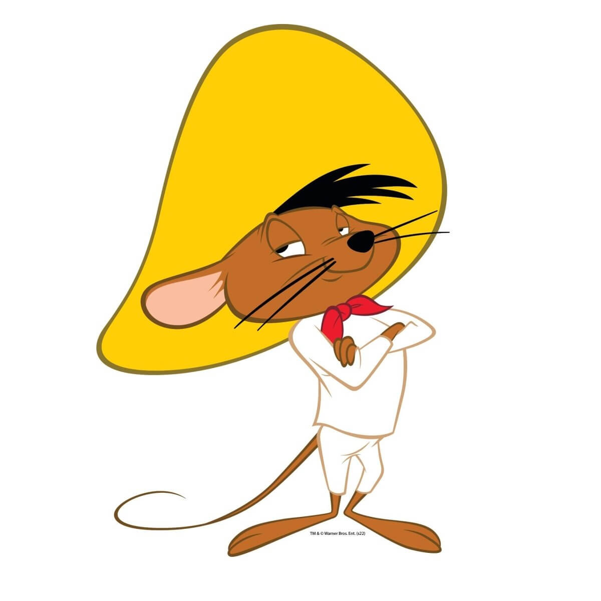 Kismet Decals Looney Tunes Speedy Gonzales Licensed Wall Sticker - Easy DIY Home & Kids Room Decor Wall Decal Art - Kismet Decals