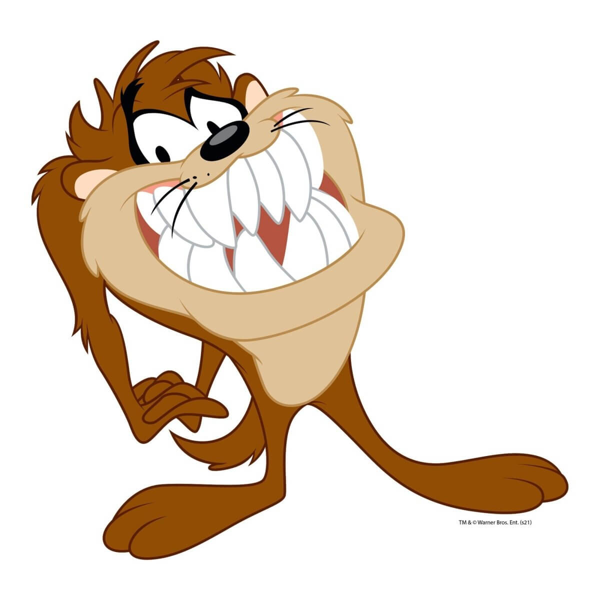 Kismet Decals Looney Tunes Taz Innocent Licensed Wall Sticker - Easy DIY Home & Kids Room Decor Wall Decal Art - Kismet Decals
