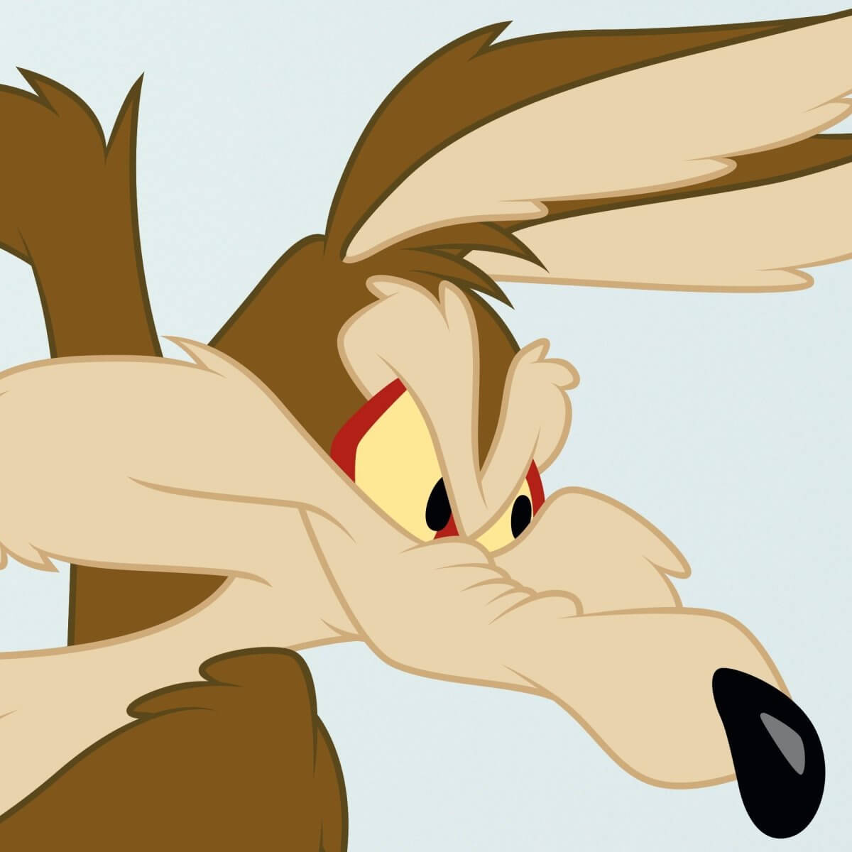 Kismet Decals Looney Tunes Wile. E Coyote Licensed Wall Sticker - Easy DIY Home & Kids Room Decor Wall Decal Art - Kismet Decals