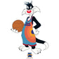 Kismet Decals Space Jam: A New Legacy Sylvester the Cat Licensed Wall Sticker - Easy DIY Looney Tunes Home & Room Decor - Kismet Decals