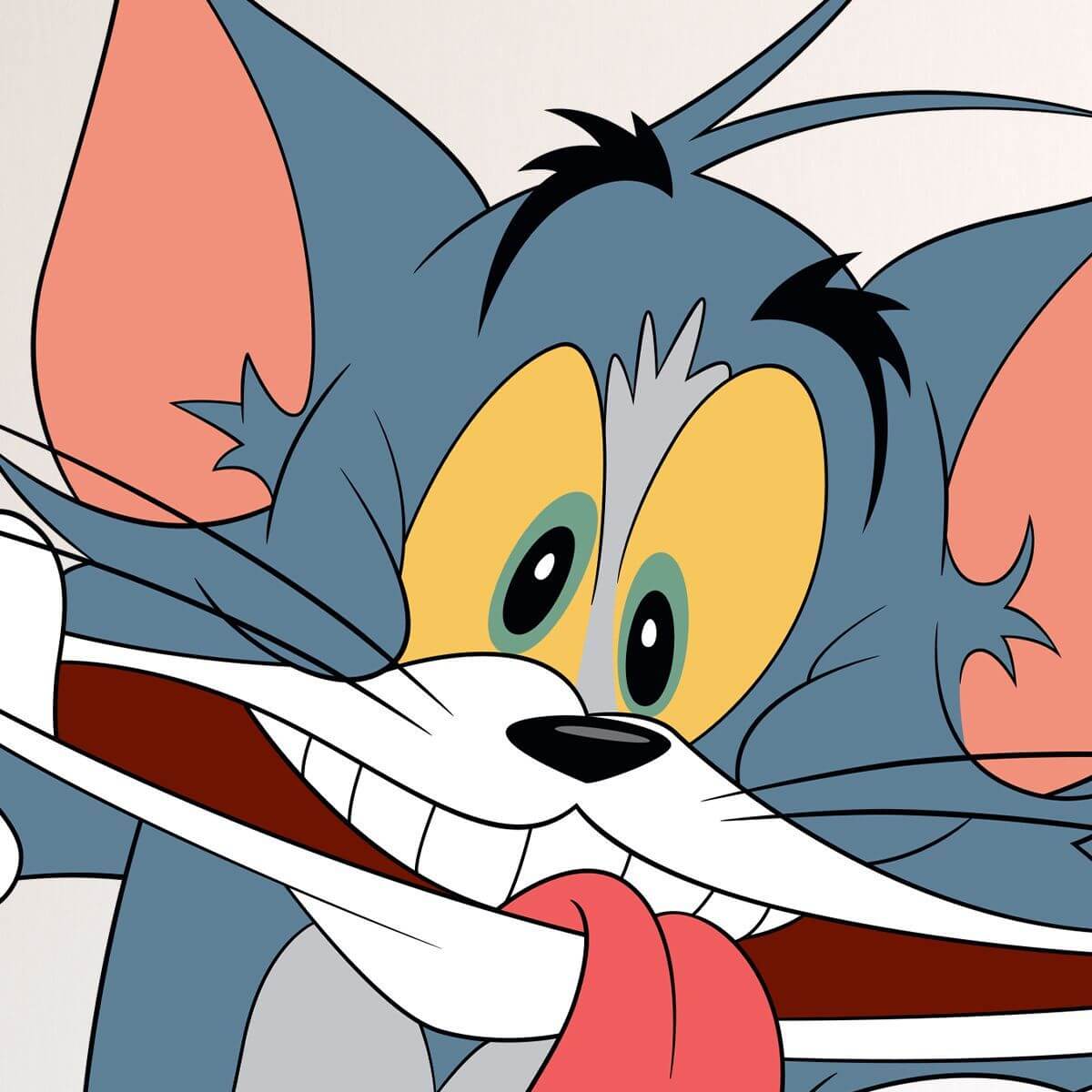 Kismet Decals Tom & Jerry: Duo of Fun Licensed Wall Sticker - Easy DIY Home & Room Decor Cartoon Wall Art - Kismet Decals