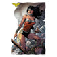 Kismet Decals Wonder Woman #38 Pg 17 Comic Cover Series Officially Licensed Wall Sticker - Easy DIY DC Comics Home, Kids or Adult Bedroom, Office, Living Room Decor Wall Art - Kismet Decals