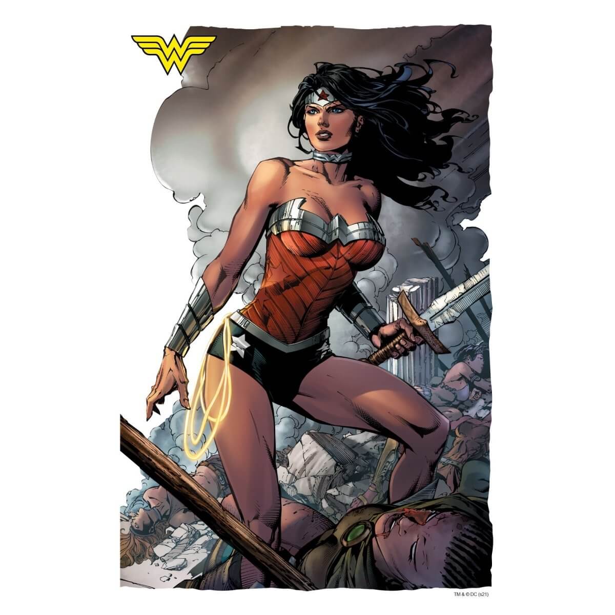 Kismet Decals Wonder Woman #38 Pg 17 Comic Cover Series Officially Licensed Wall Sticker - Easy DIY DC Comics Home, Kids or Adult Bedroom, Office, Living Room Decor Wall Art - Kismet Decals