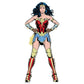 Kismet Decals WW84 Hero Pose 1 Licensed Wall Sticker - Easy DIY Wonder Woman 1984 Home & Room Decor Comic Art - Kismet Decals